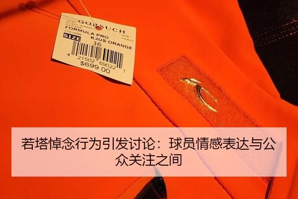 ruo-ta-dao-nian-xing-wei-yin-fa-tao-lun-qiu-yuan-qing-gan-biao-da-yu-gong-zhong-guan-zhu-zhi-jian-2-593.jpg