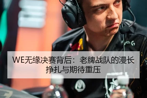 WE无缘决赛背后：老牌战队的漫长挣扎与期待重压